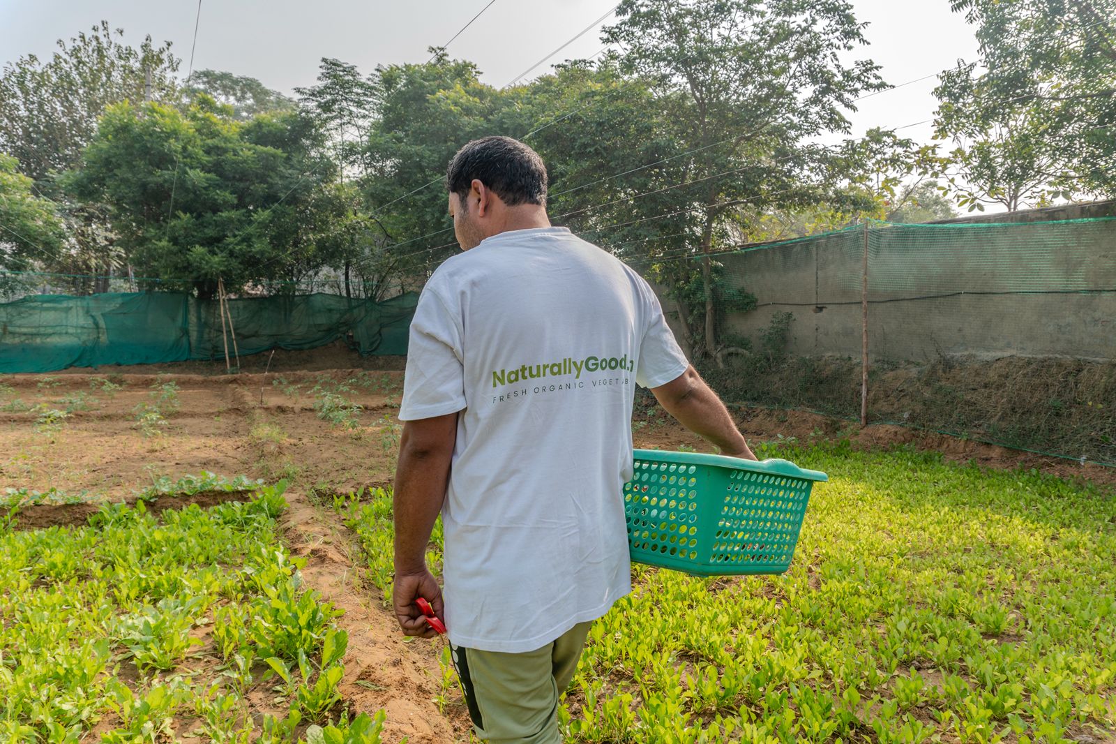 NaturallyGood - Premium Organic Vegetables Delivered Fresh | Farm to Table